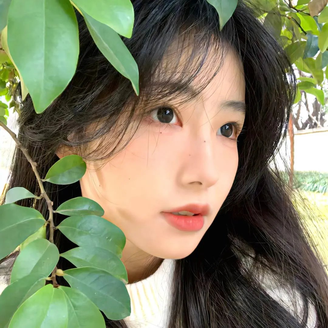御狐之绊第二季